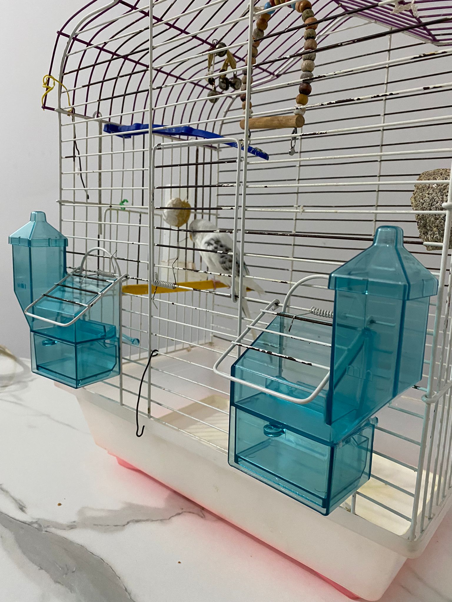 Yeni Nesil Kuş Yemlikleri